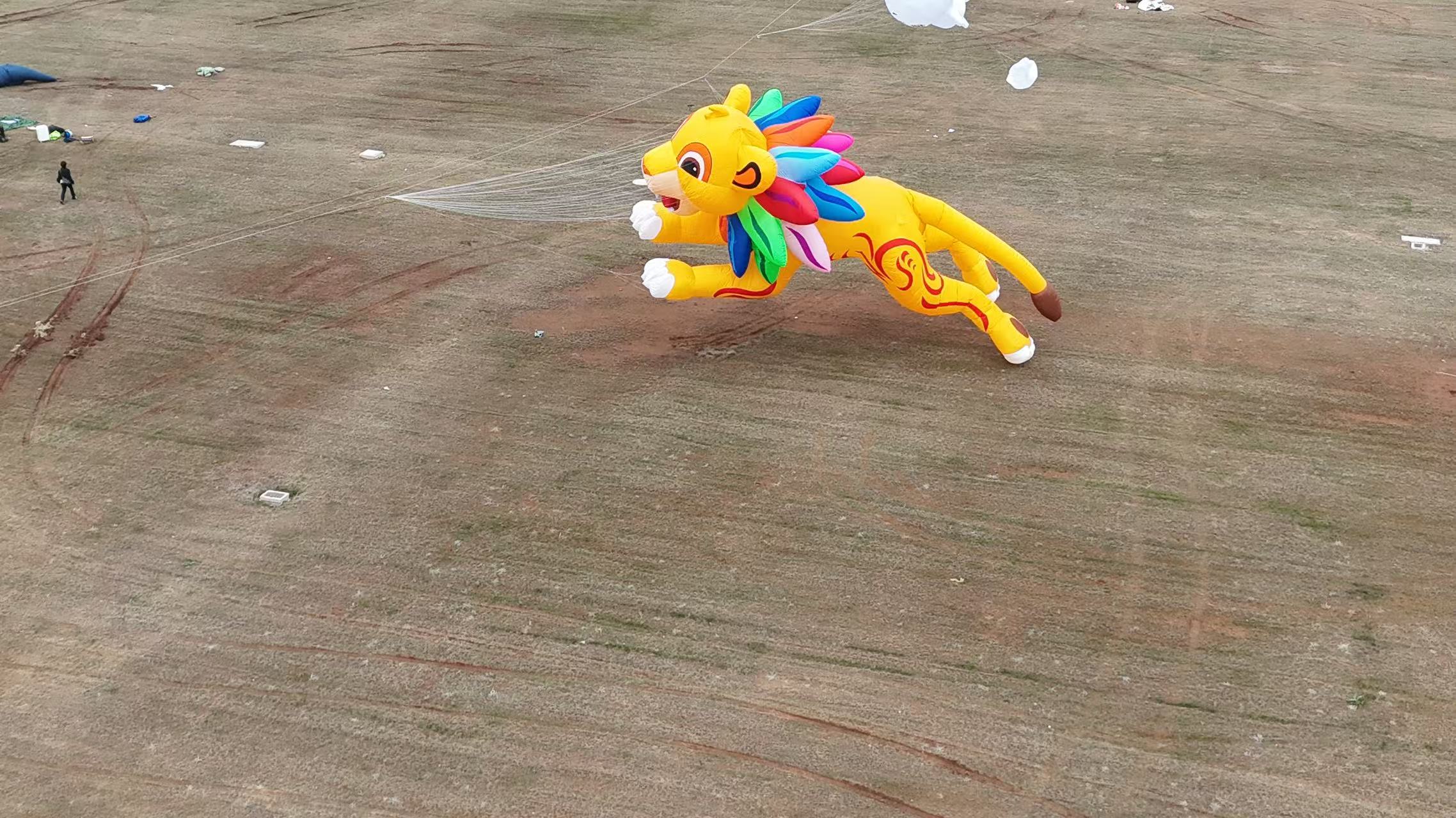 福州市品牌风筝定制儿童风筝定制 - 厂家