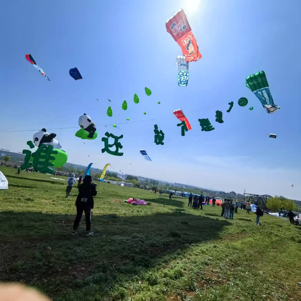 福州市风筝定制风筝定制 - 方案